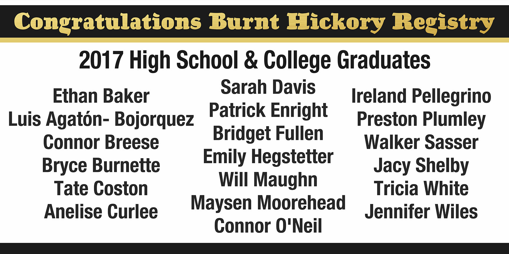 Customizable Large Banner (4' x 8')